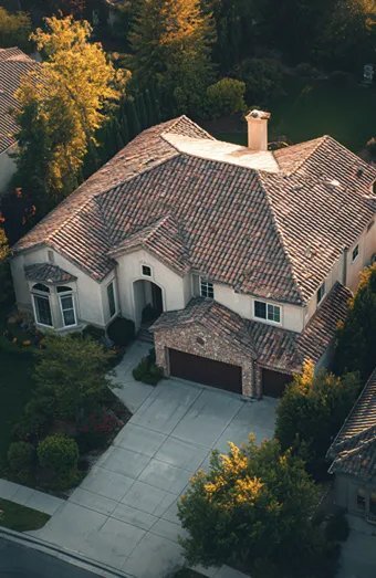 Homepage X